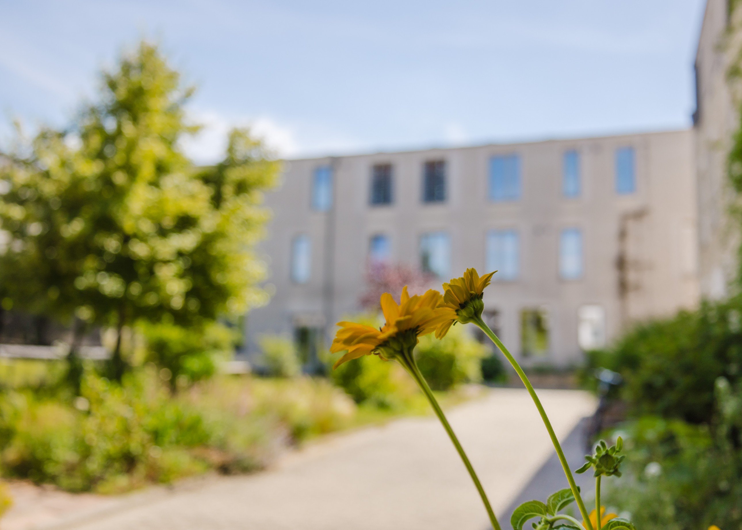 neues Objekt Großzügige Luxus-Wohnung in Dresden-Friedrichstadt
